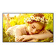 LG - LG 65UL5Q-E Pantalla plana para señalización digital 165,1 cm (65'') LED Wifi 500 cd / m² 4K